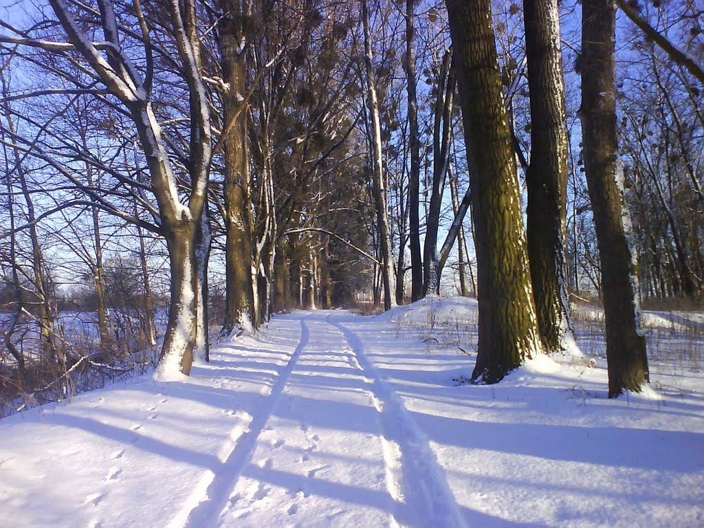 Стежка