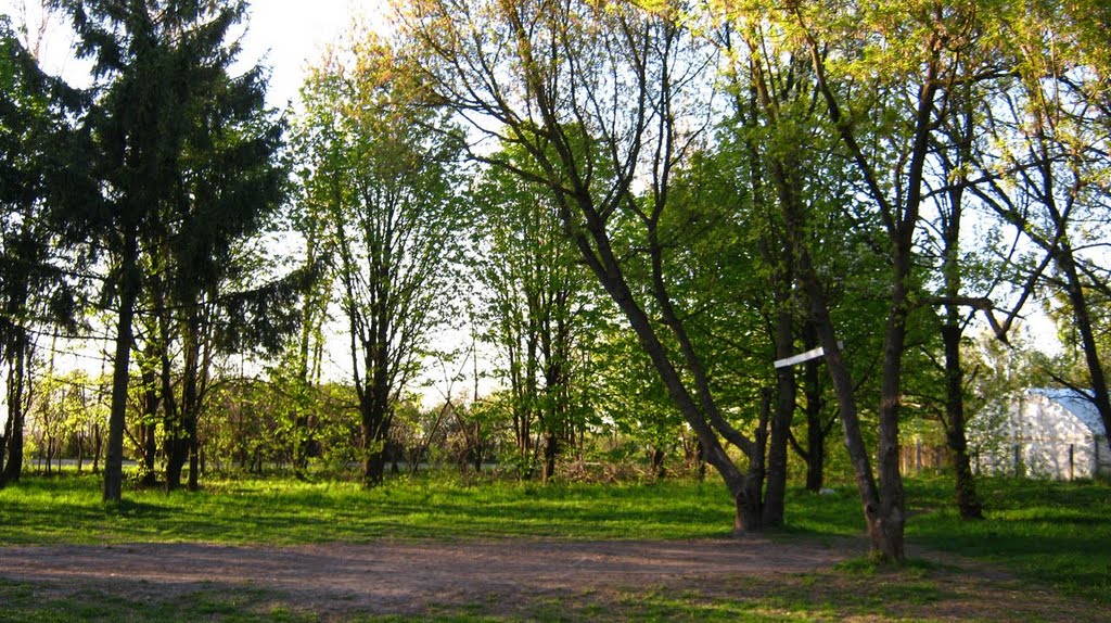 Гайок
