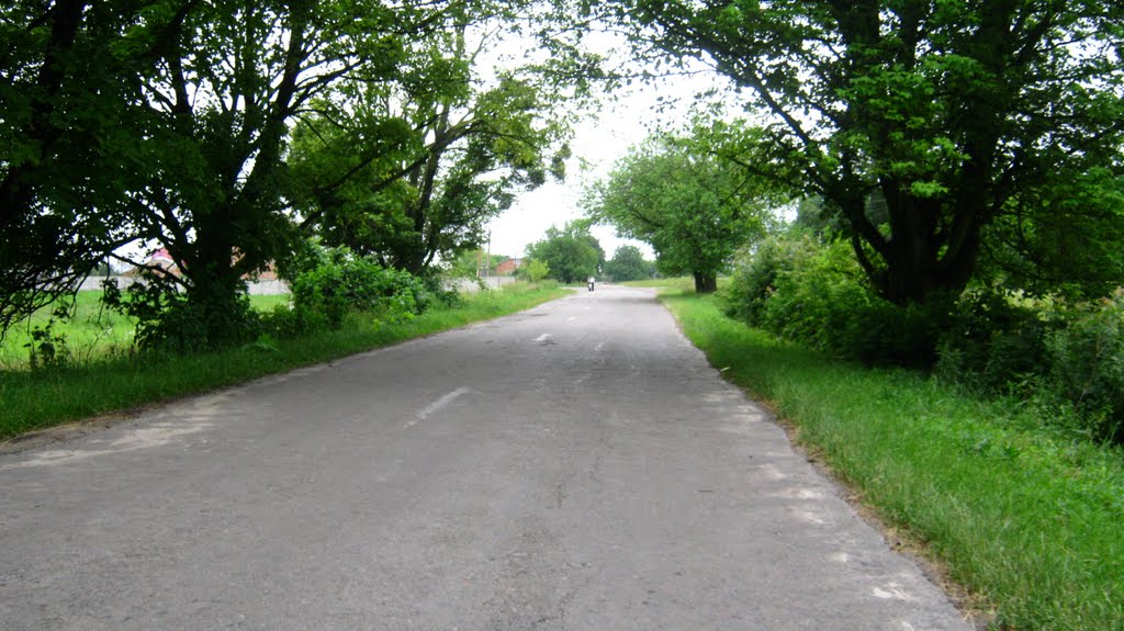 Дорога