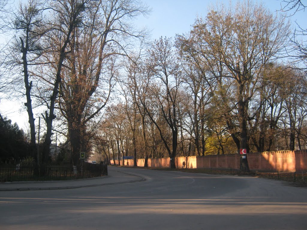 Radekhiv