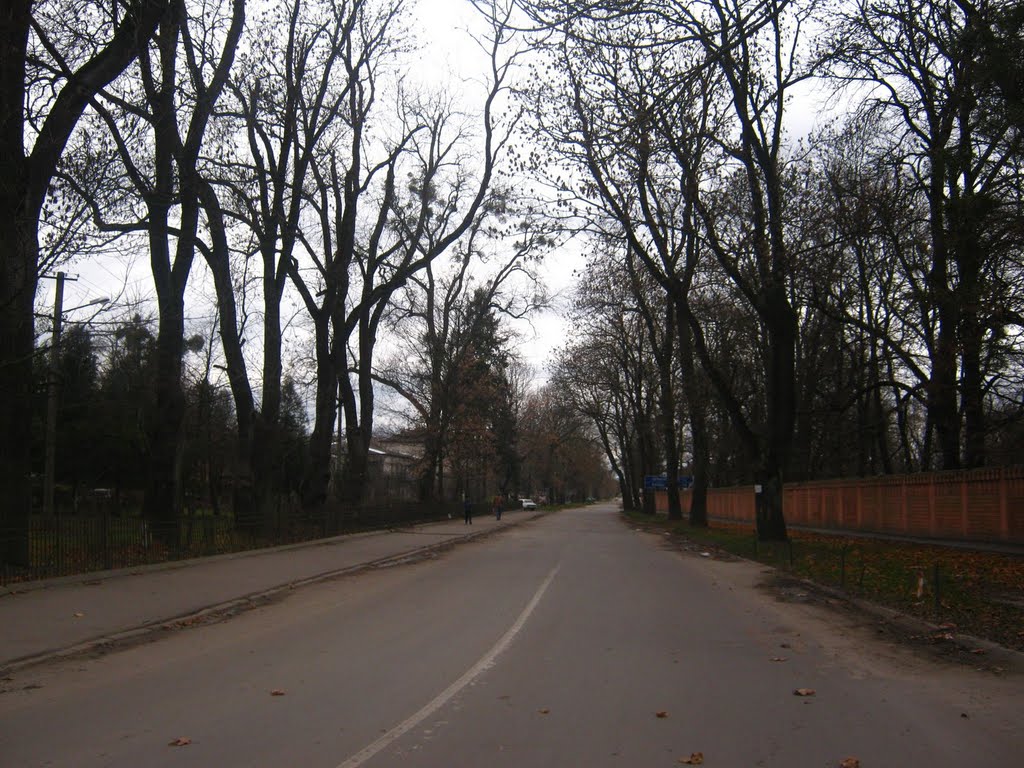 вул. Витківська