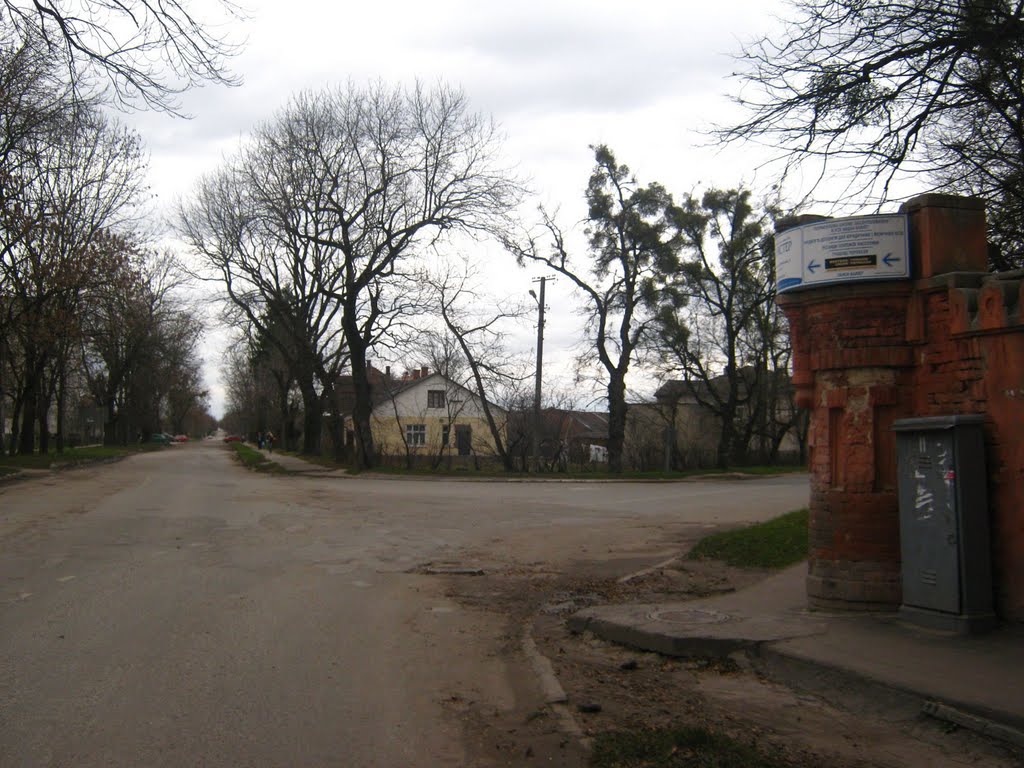 поворот з вул.Витківської на Стоянівську