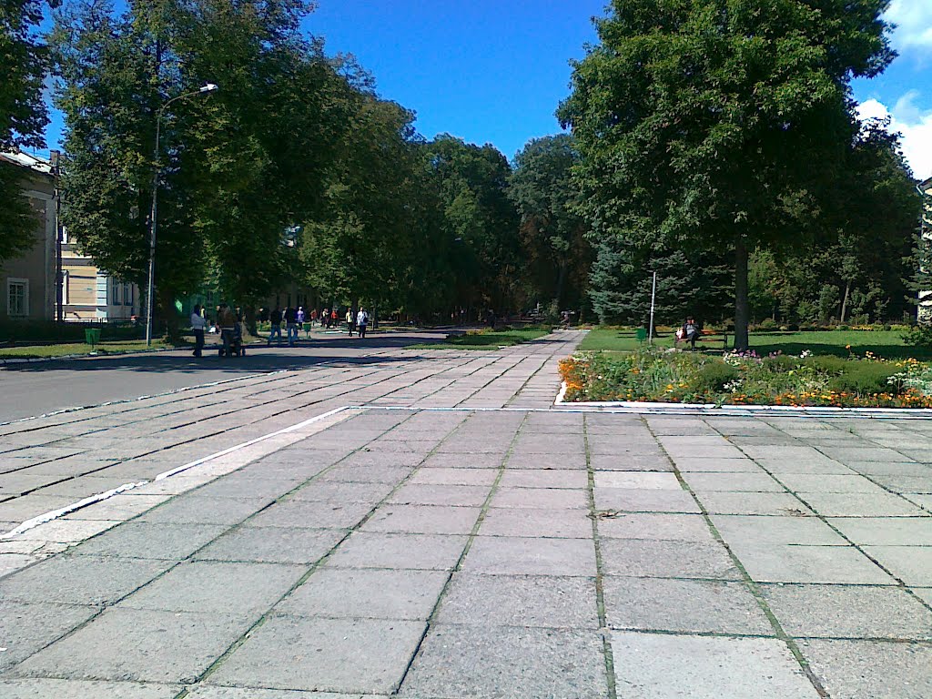 Центр. Проспект Відродження