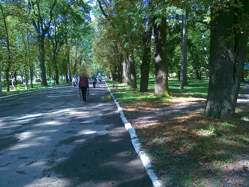 Поспект Відродження через парк