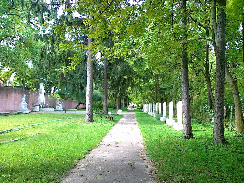 Кладовище біля лікарні