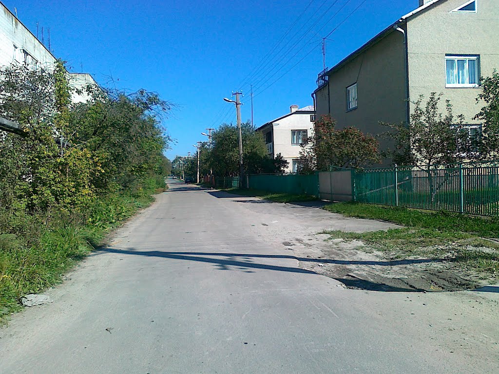 Вулиця Шухевича