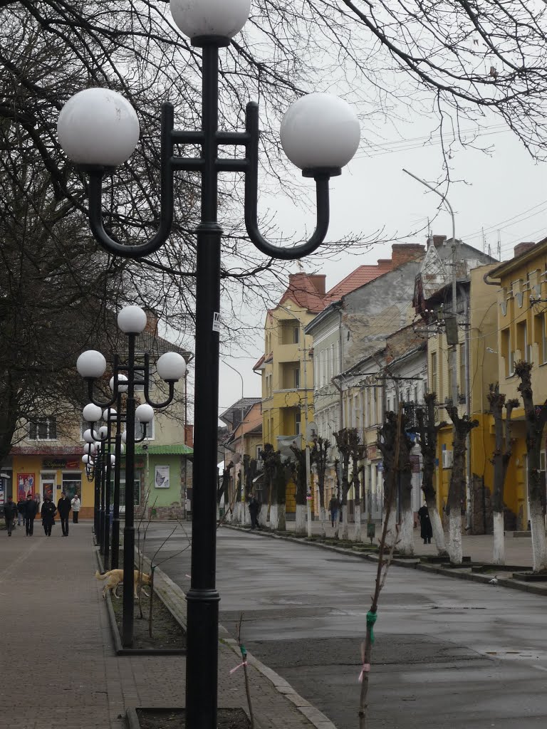 Street lamps in Sambor