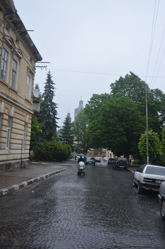 Самбор.Sambir.