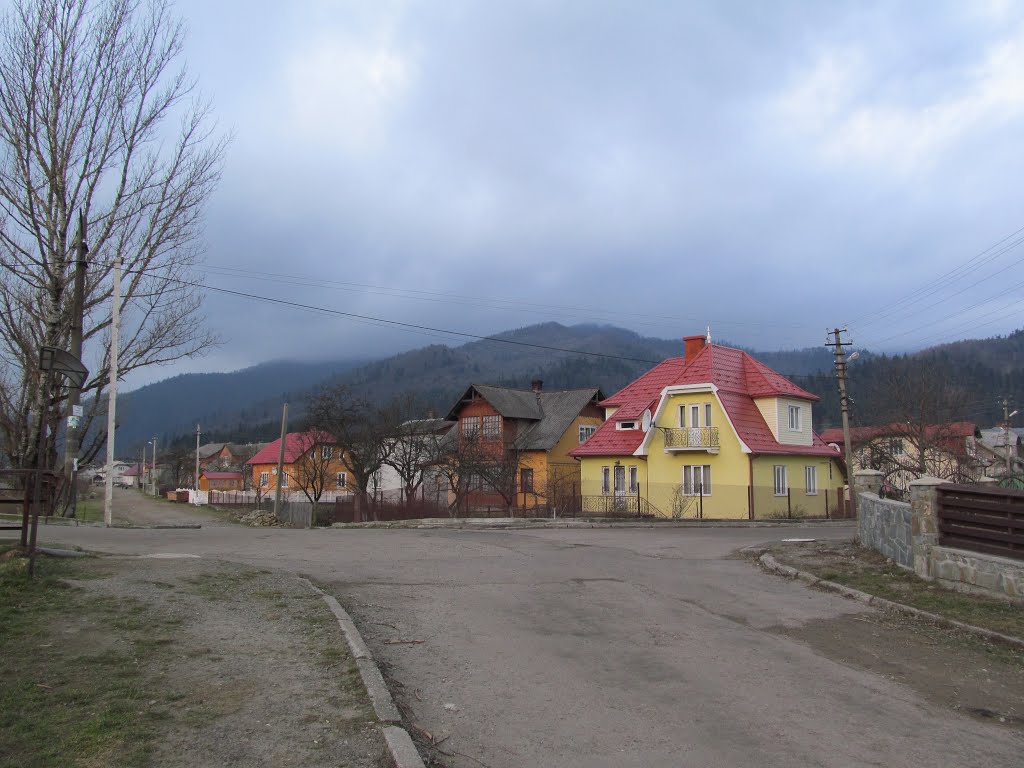 кольорові будинки, сіра природа * colourful houses, grey nature