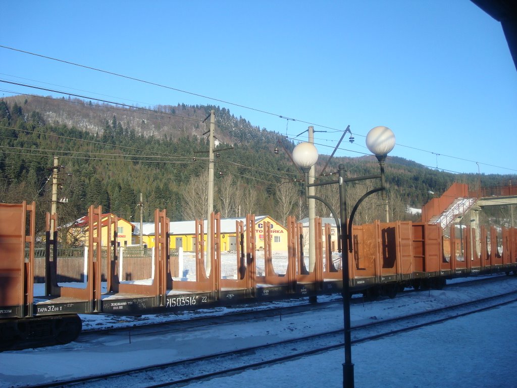 Станция Сколе