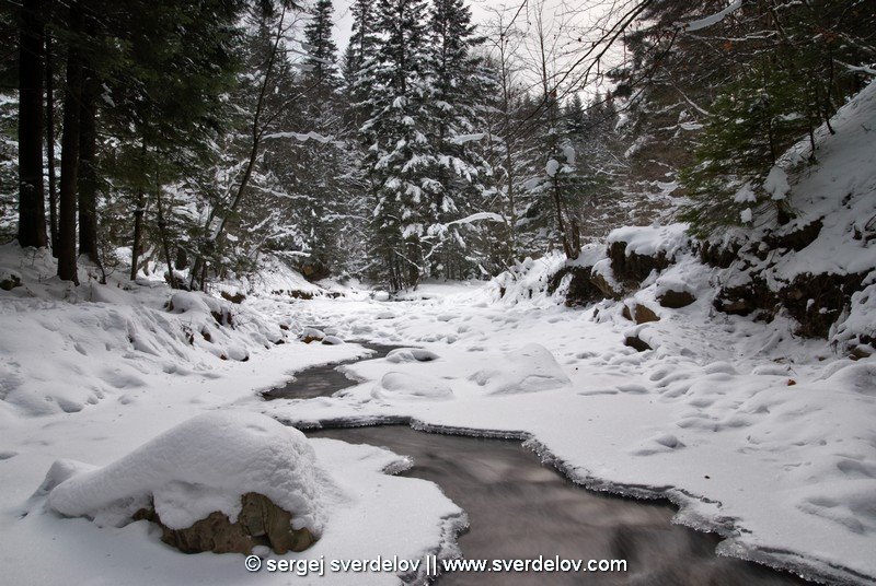 Winter river
