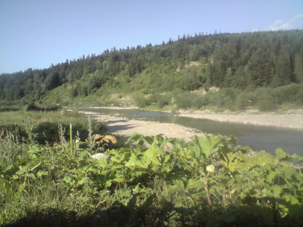 Skole,riverview