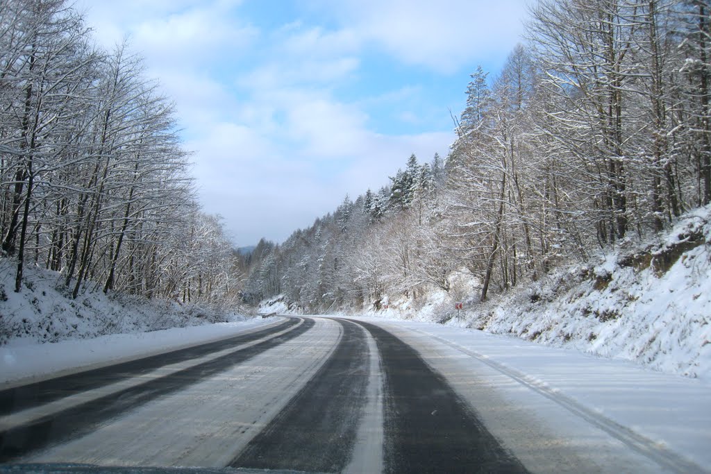 Дорога чоп-Киев в снегу. Road Chop-Kiev in snow.