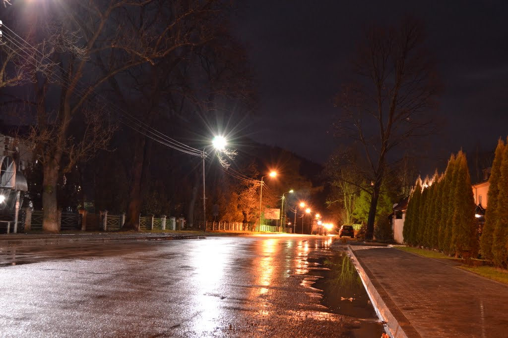 головна дорога в м.Сколе