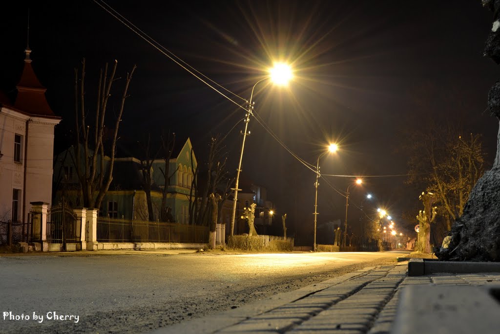 вул.Д.Галицького
