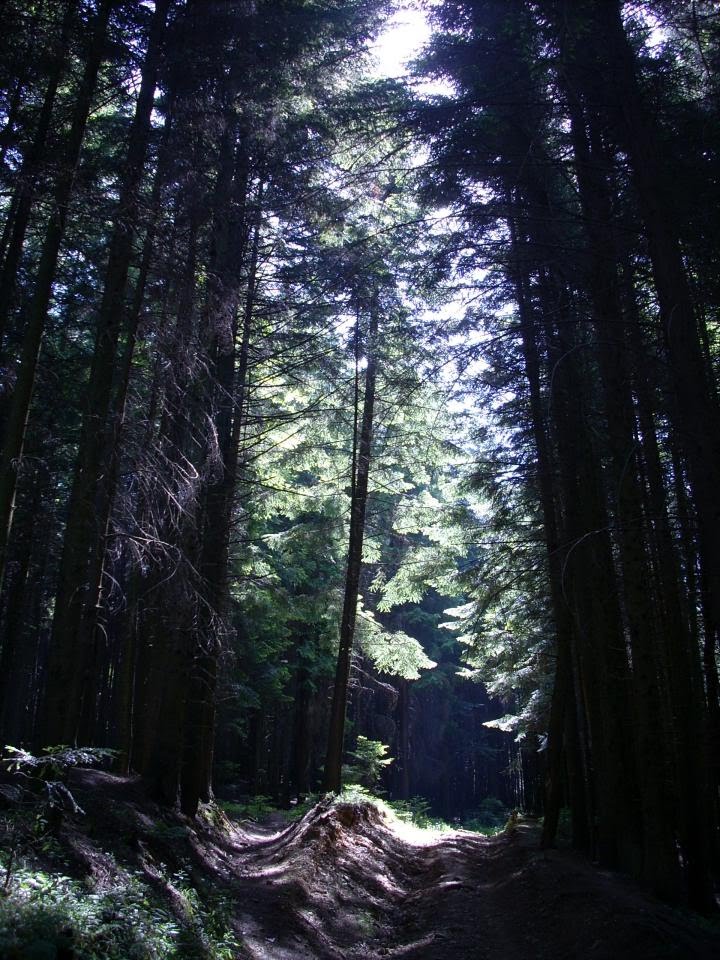 Бескиди Сколе Ukrainian Carpathians
