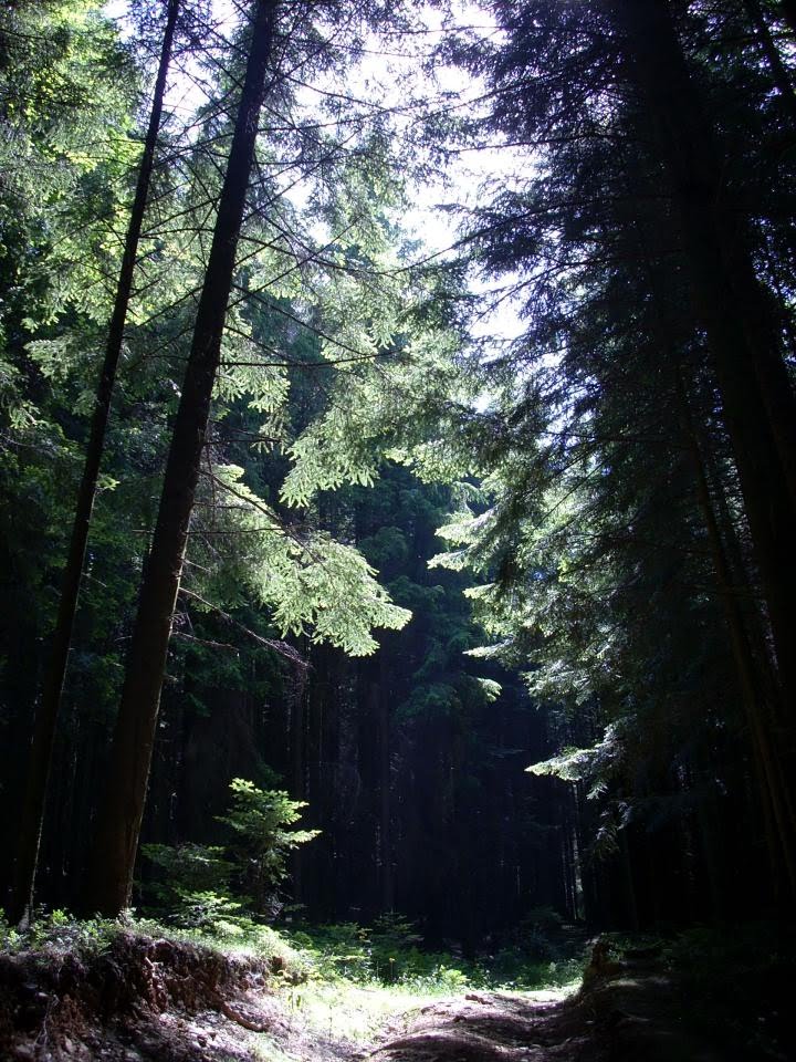 Бескиди Сколе  Ukrainian Carpathians