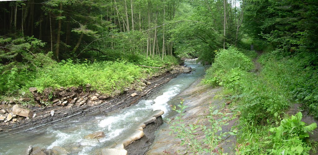Бескиди Павлів потік  м.Сколе Ukrainian Carpathians