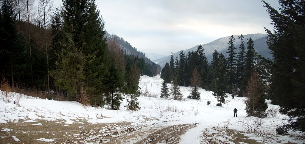 Бескиди м.Сколе р.Опір Ukrainian Carpathians