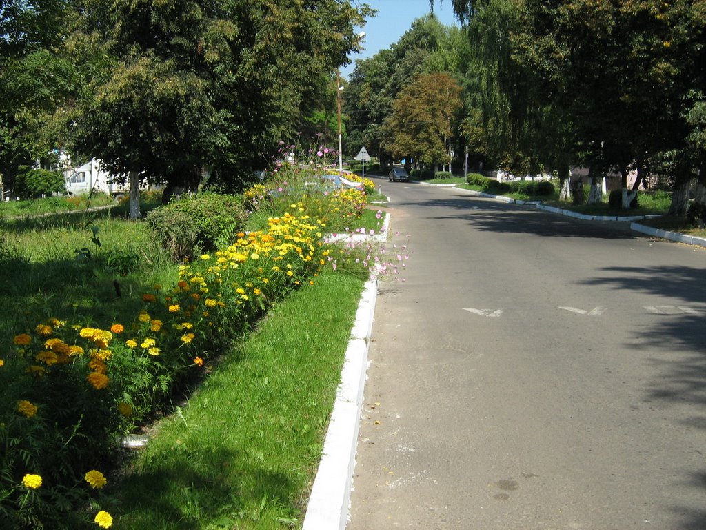 ►Квіти на Шептицького