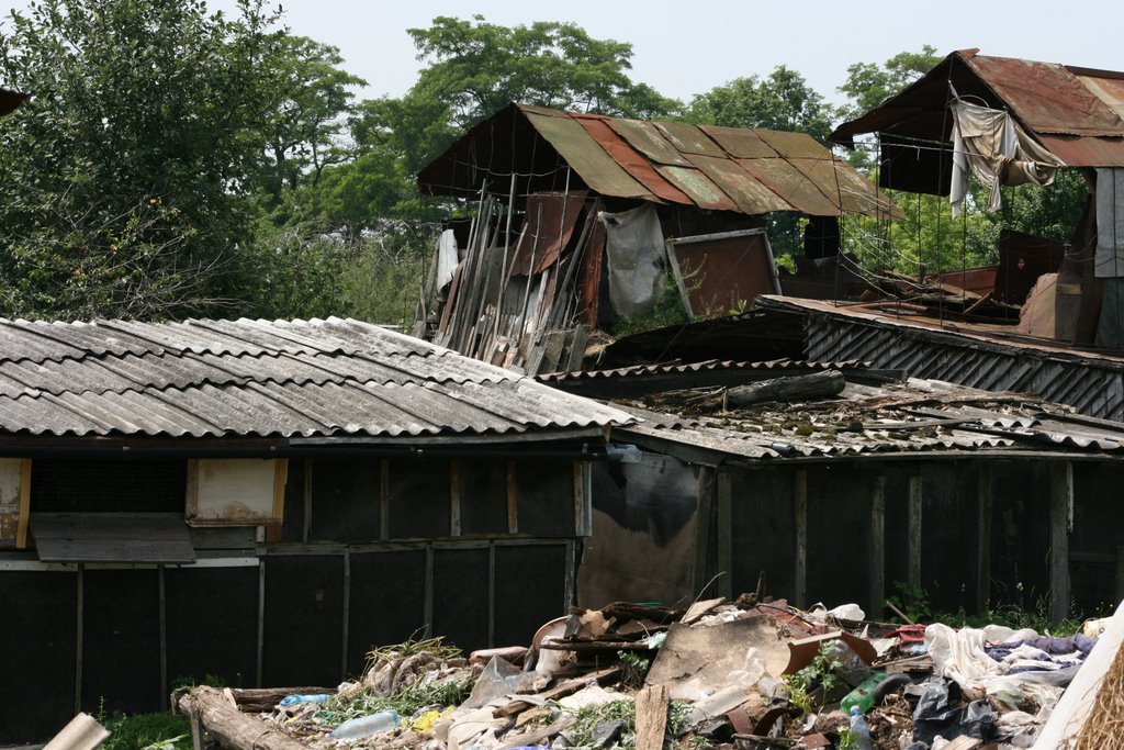 Sokals south side