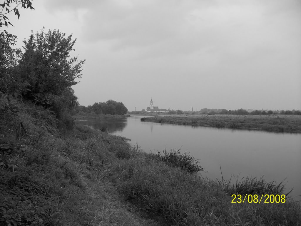 Бернардинський костел