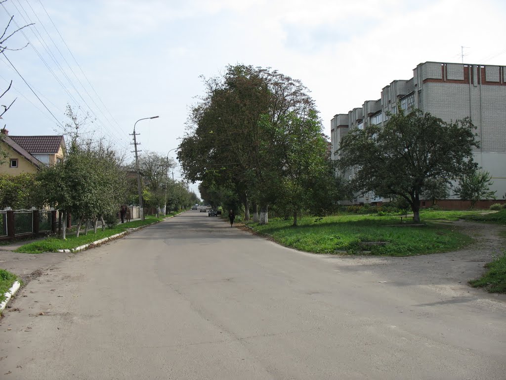 вул. В.Стуса (Сокаль, Україна)