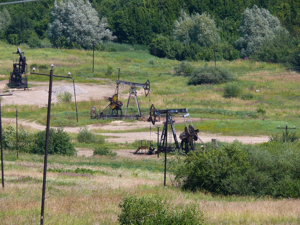 Чорне золото Карпат