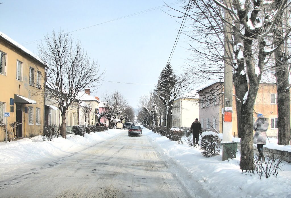 Старый Самбор, выезд в сторону Львова. Вид на север.