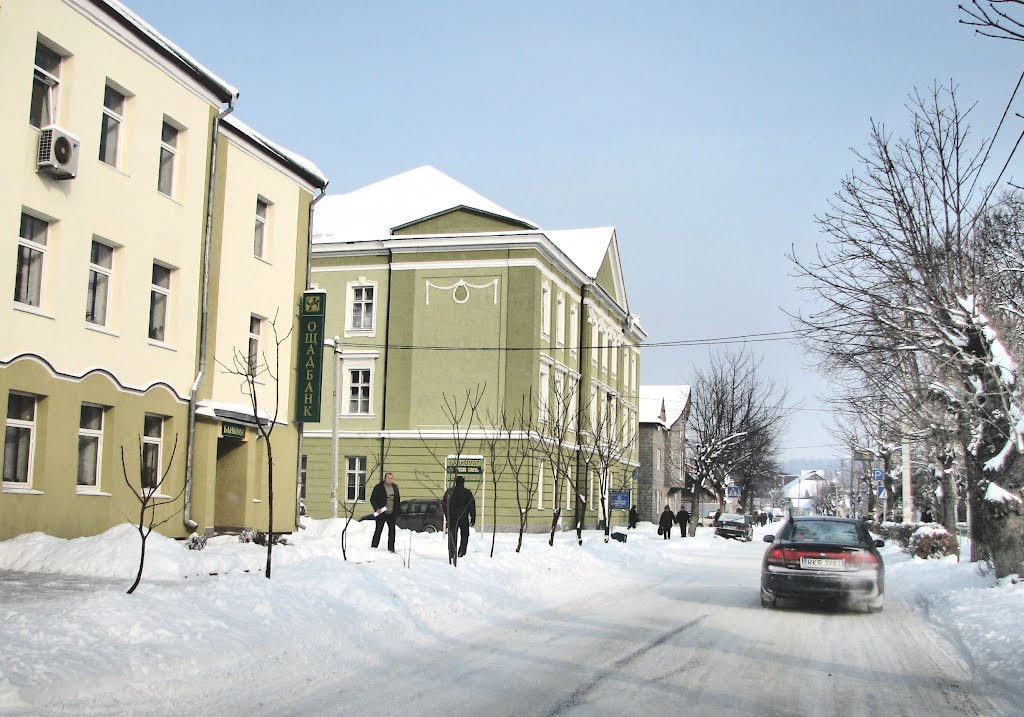 Старый Самбор. Центр. Поликлиника. Вид на север.