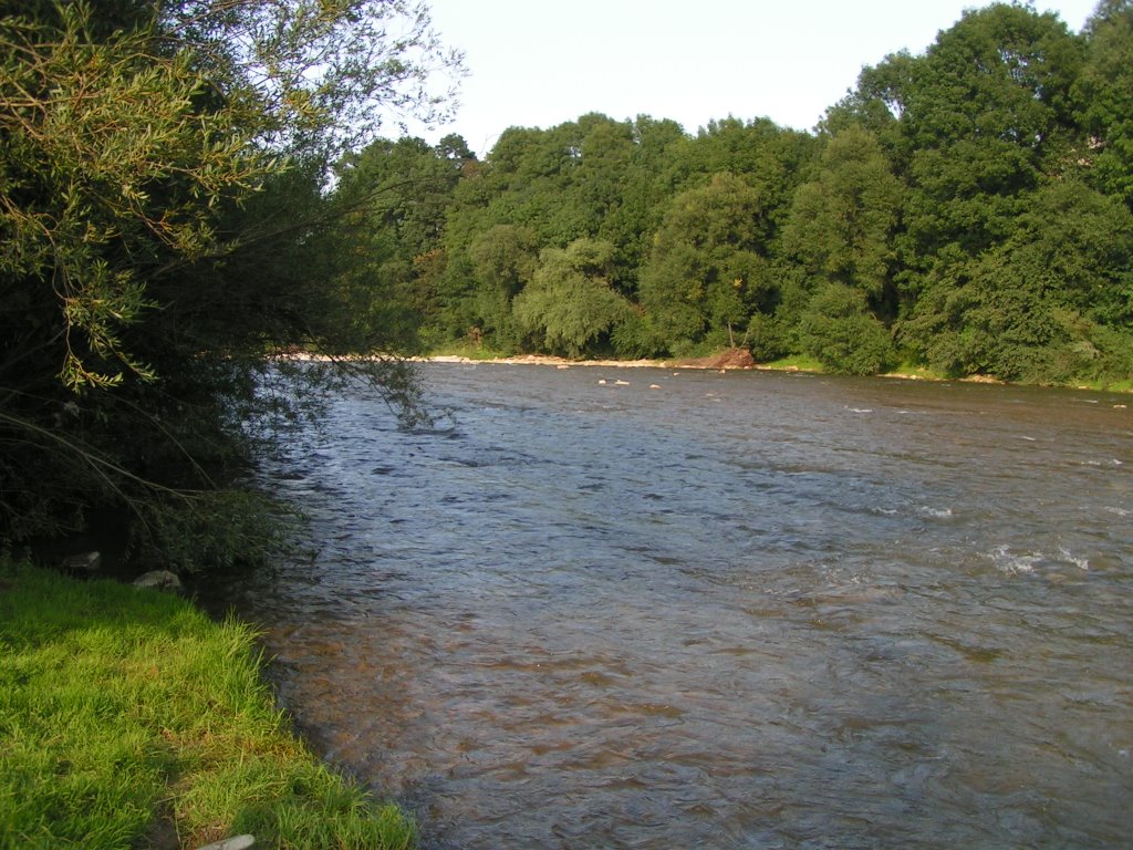 Fiume