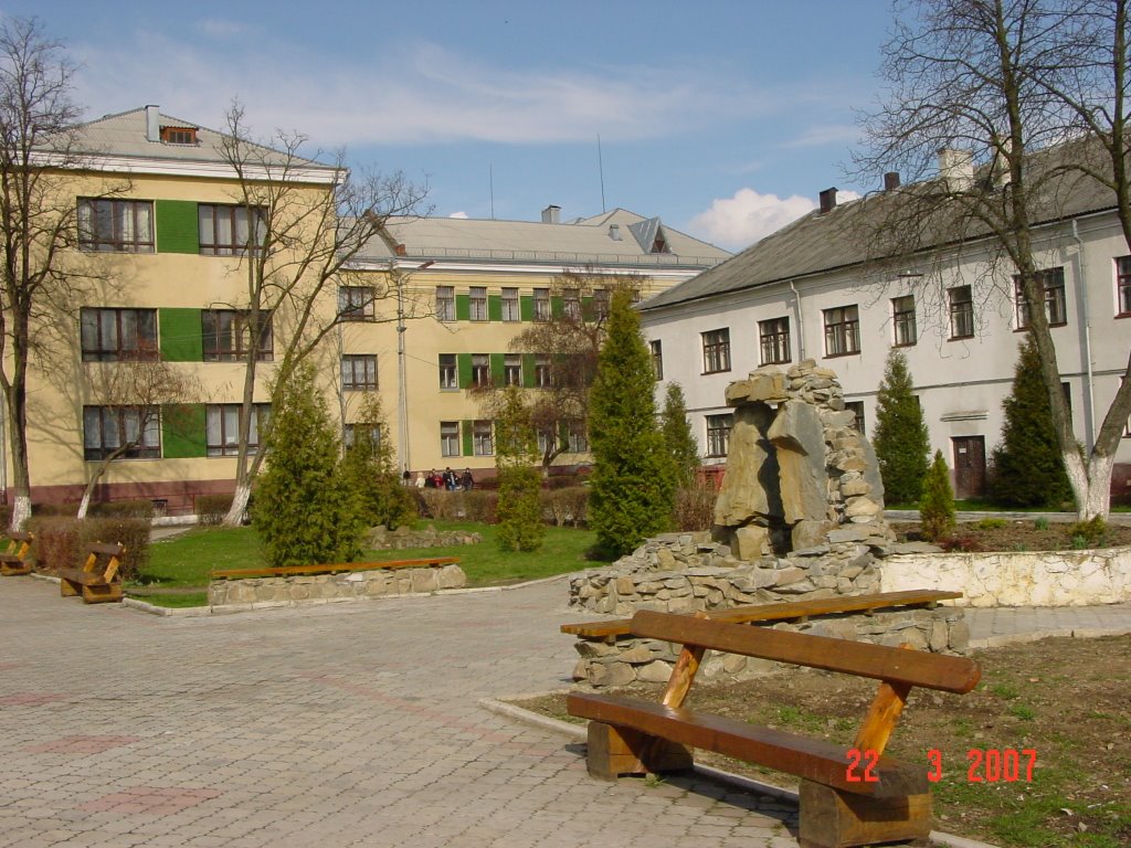 Stryi Koleg by Andriy N