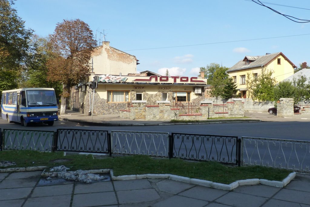 Стрий, Лотос