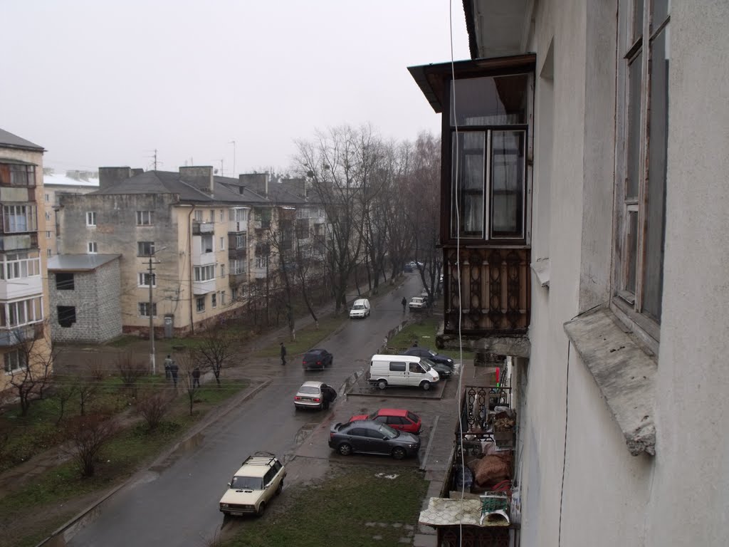 вул. Саксаганського, Стрий