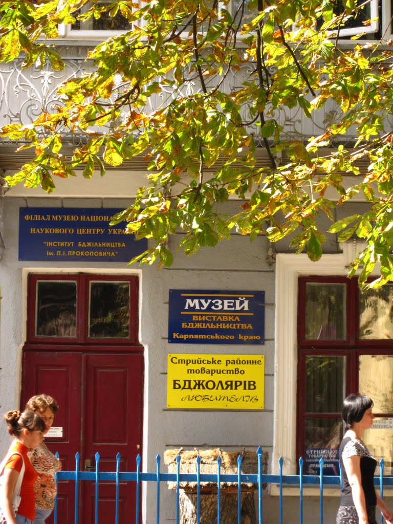 виставка бджільництва Карпатського краю ..