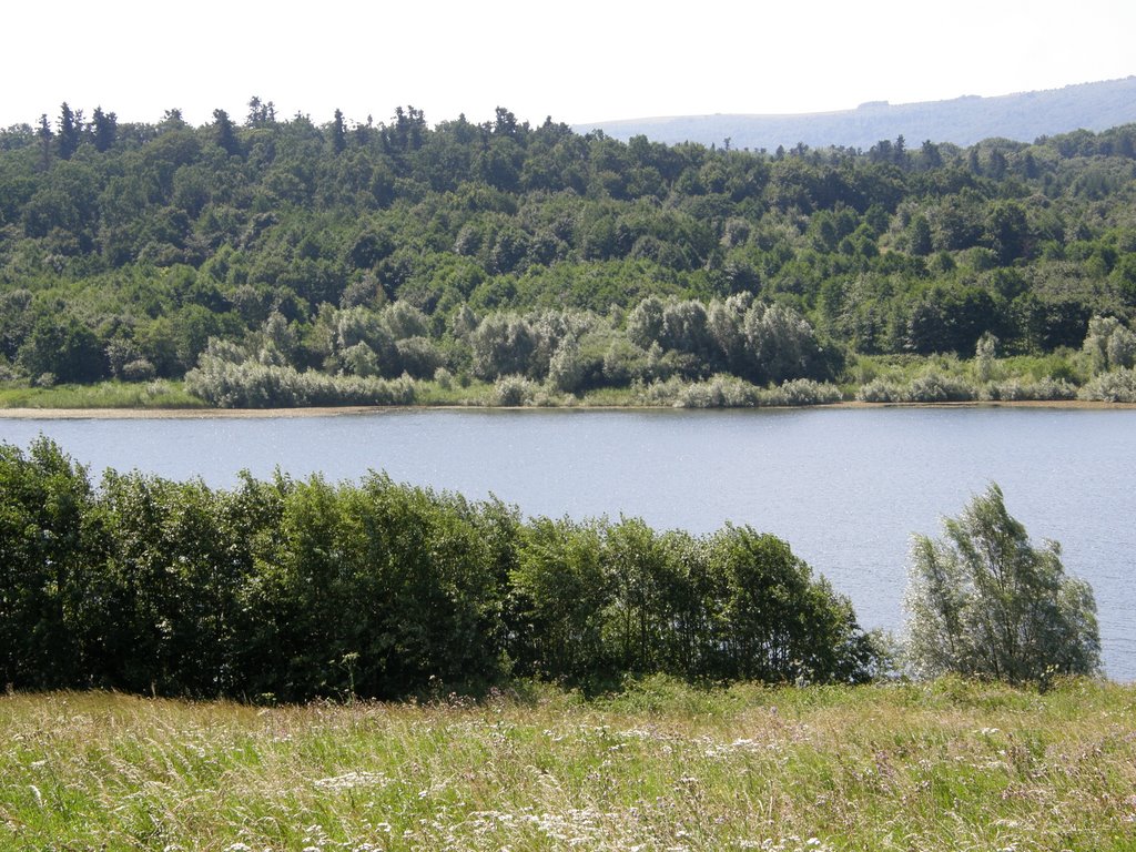 Закрытый водоём на окраине Трускавца.