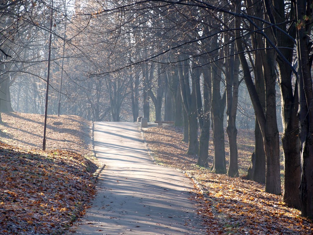 Осеннее утро / Autumn Morning