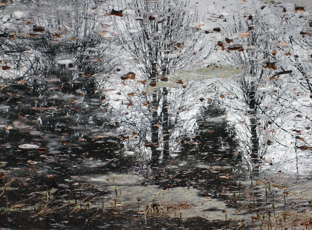 Отражение / Reflection