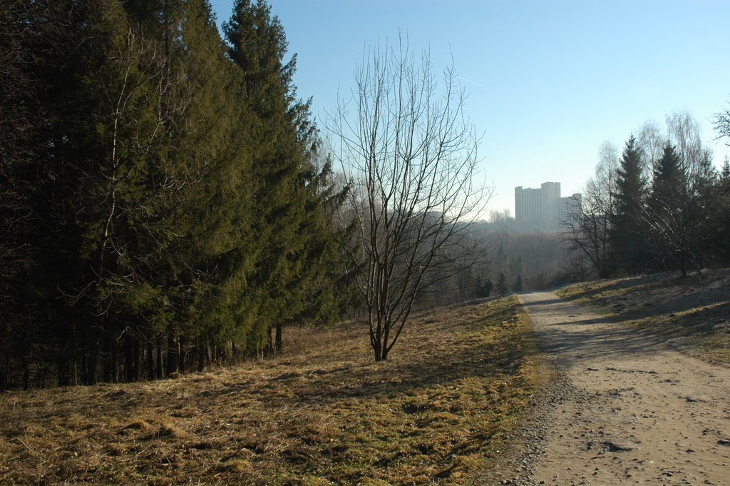 Парк в Трускавце. Park in Truskavets.