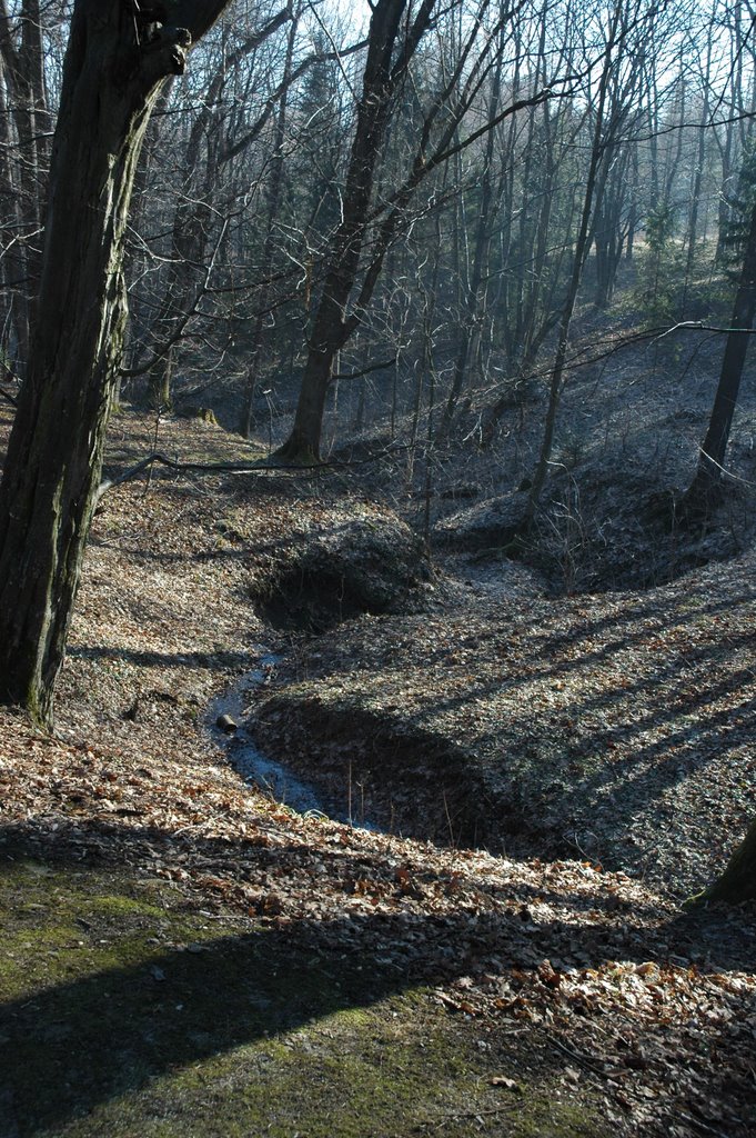 Парк в Трускавце. Park in Truskavets.