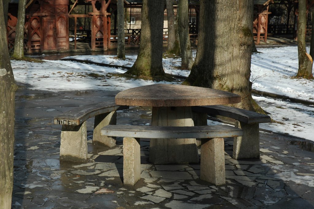 Лавочки и стол в парке. Benches and a table in the park.