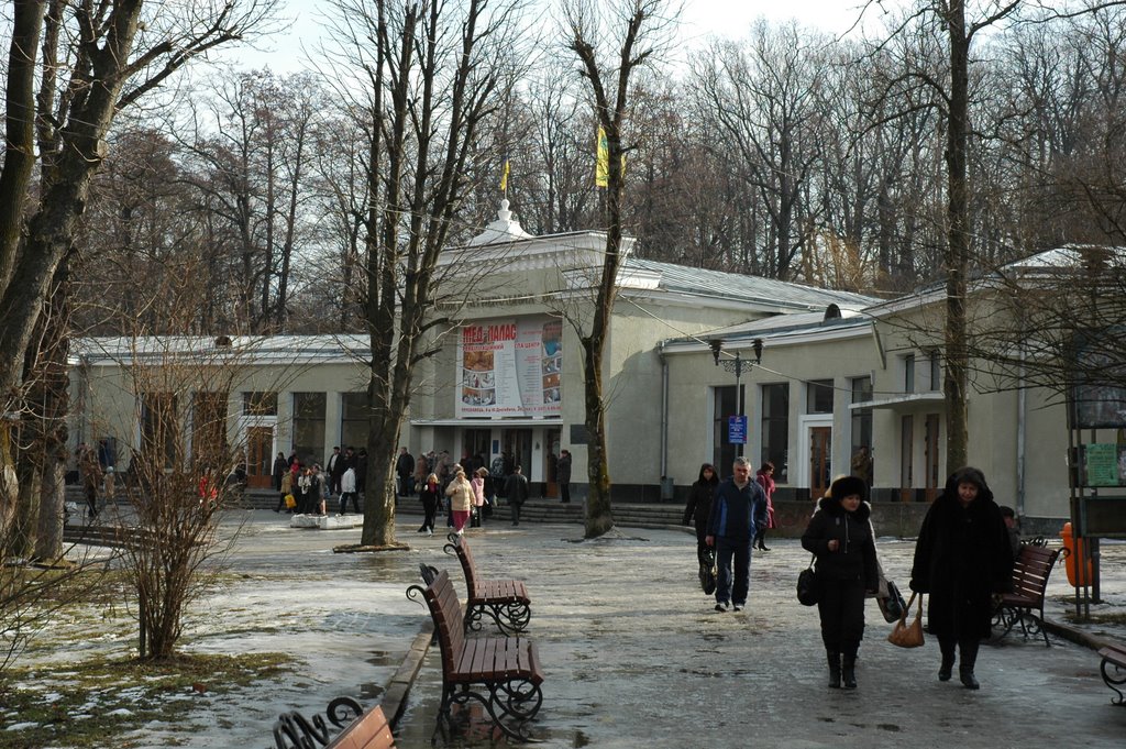 Нижний бювет. The lower well-room.