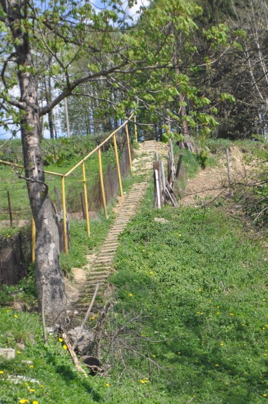 Steps to Jewish cemetery in Turka