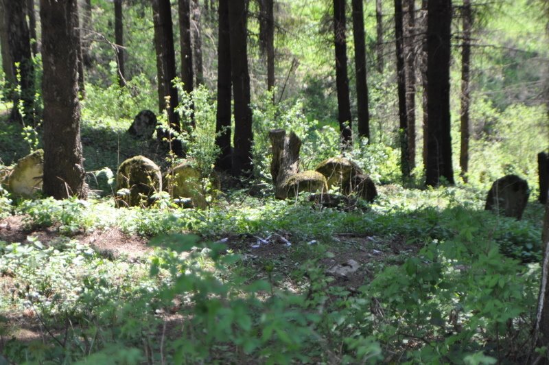 Jewish cemetery in Turka
