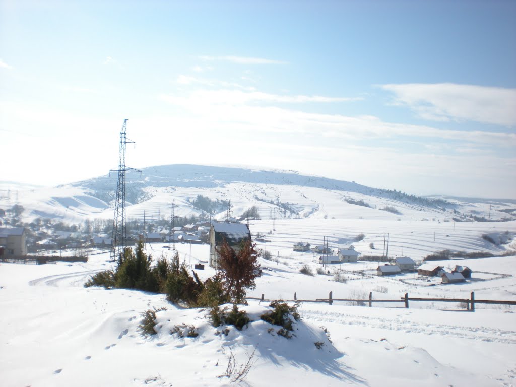 біля м.Турка