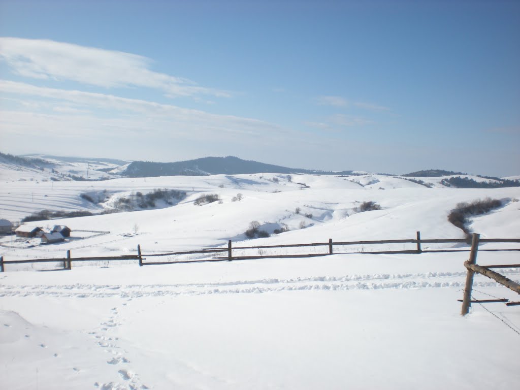 біля м.Турка