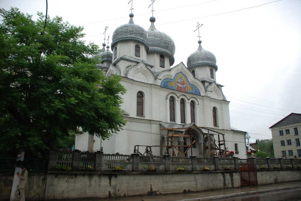 Україна. Турка