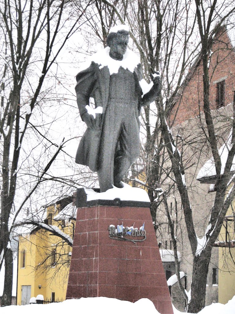 Памятник Т.Шевченко в центре Турки. Вид на юго-запад.