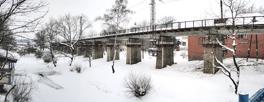 Панорама железнодорожного виадука, что вдоль Яблоньки в Турке ведёт в туннель. Вид на запад.