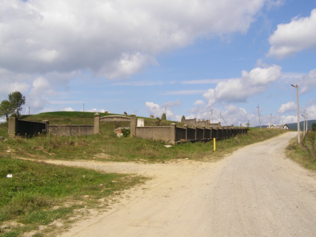 Old jew`s cemetery in town Turka (Cтаре єврейське кладовище в місті Турка)